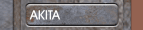 AKITA